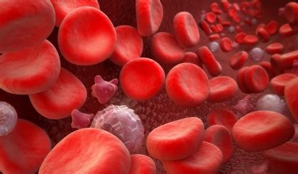 Există globule roșii în urină cu prostatită